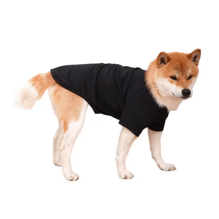 A Cotton Dog T Shirt Spring Summer Thin Pure Cotton T Shirt for Small Middle Big Dogs Cats Pet Clothes Factory