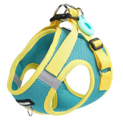 A#Step in Summer Escape Proof Soft Mesh Adjustable Reflective Strips Small Cat Pet Dog Vest Harness and Chest Strap Leash Set