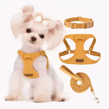 K#Three-Piece Pet Vest Harness Set New Fashionable Solid Deer Fiber Velvet Padded Dog Collar Polyester High-End Pet